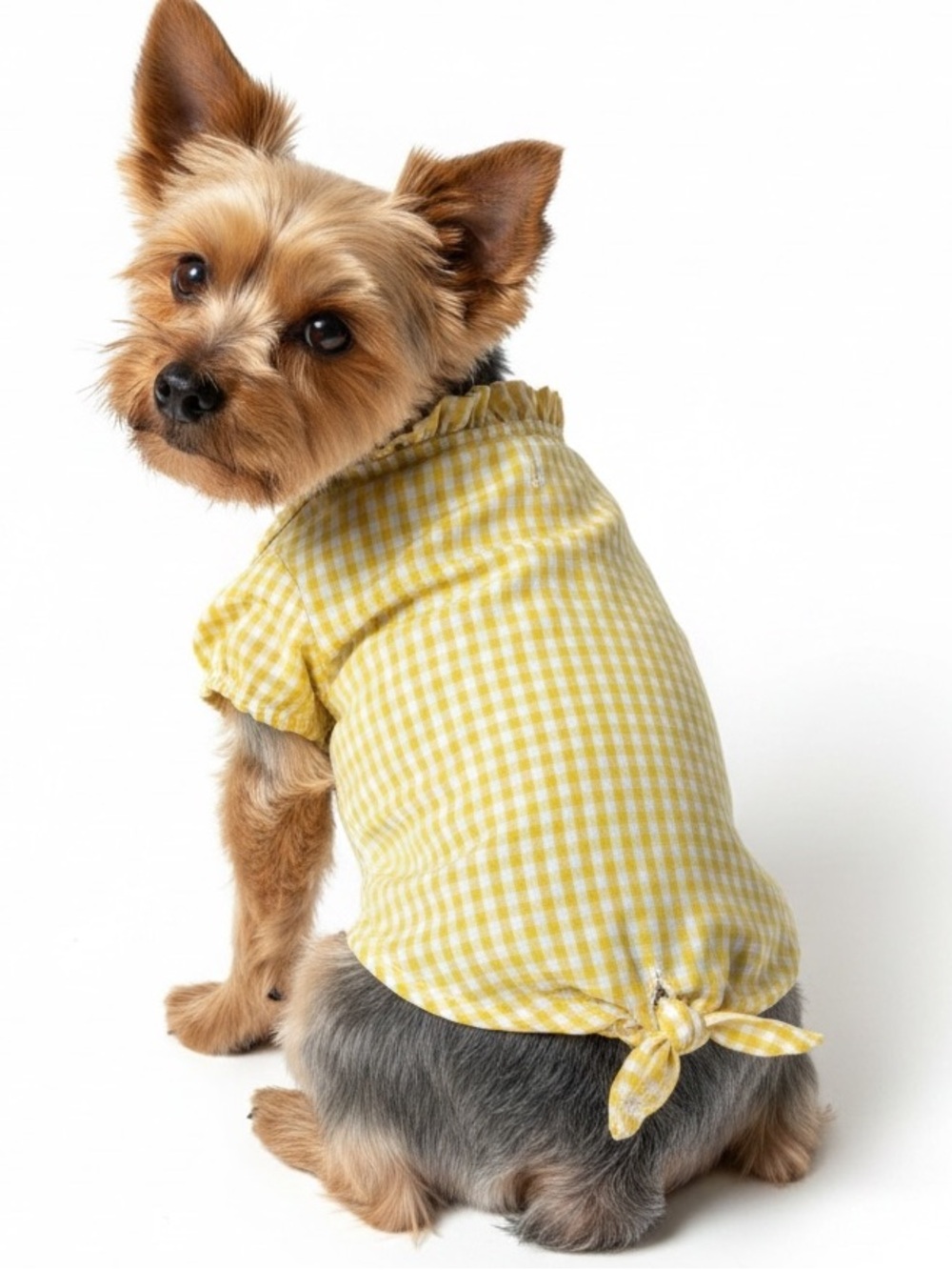 Yellow Gingham Ruffle-Neck Dog Blouse with Tie Hem